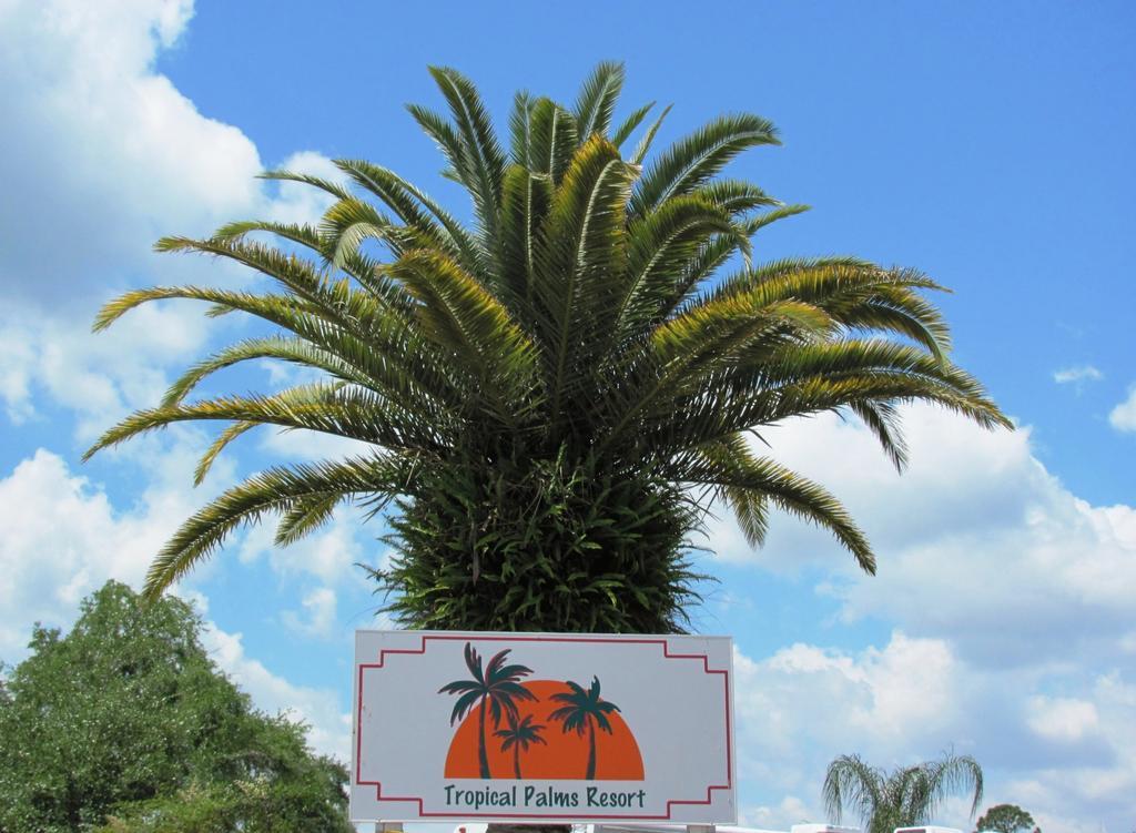 Tropical Palms Resort & Campground Kissimmee Luaran gambar